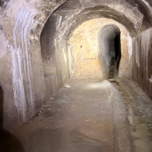 Výprava Lišek do Znojemského podzemí (15. 3. 2026)