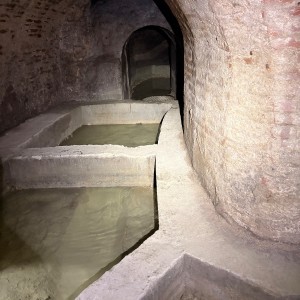 Výprava Lišek do Znojemského podzemí (15. 3. 2026)