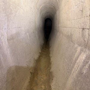 Výprava Lišek do Znojemského podzemí (15. 3. 2026)