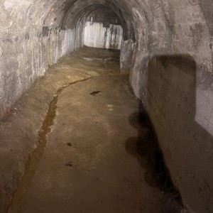 Výprava Lišek do Znojemského podzemí (15. 3. 2026)