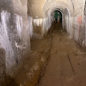 Výprava Lišek do Znojemského podzemí (15. 3. 2026)