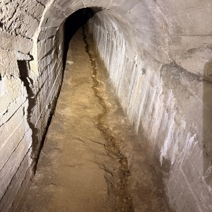 Výprava Lišek do Znojemského podzemí (15. 3. 2026)