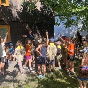 Závěrečná oddílovka