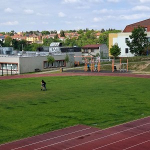 Žraločí golfová výprava