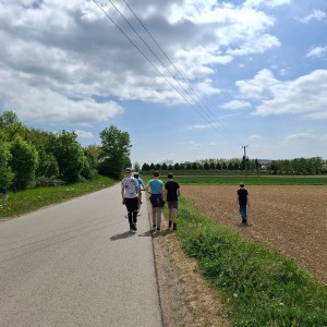 Žraločí golfová výprava
