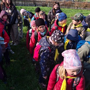 Závody vlčat a světlušek v Šenově