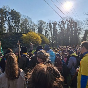 Závody vlčat a světlušek v Šenově