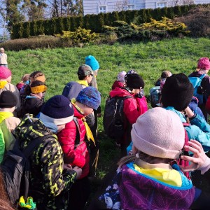 Závody vlčat a světlušek v Šenově