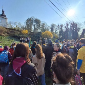 Závody vlčat a světlušek v Šenově