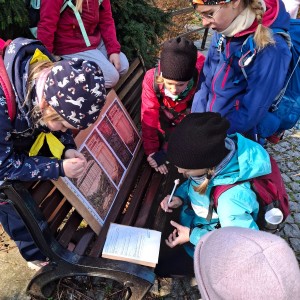 Závody vlčat a světlušek v Šenově