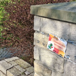 Závody vlčat a světlušek v Šenově