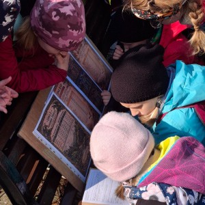 Závody vlčat a světlušek v Šenově