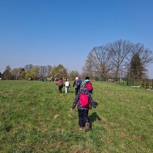 Závody vlčat a světlušek v Šenově