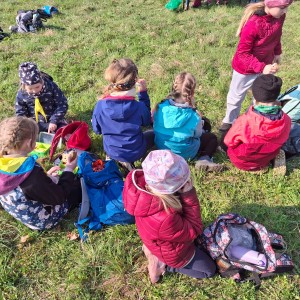 Závody vlčat a světlušek v Šenově