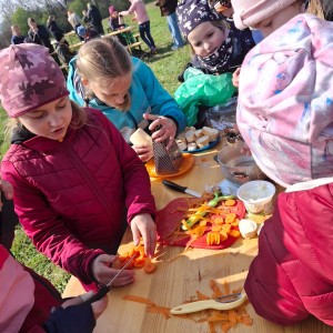 Závody vlčat a světlušek v Šenově