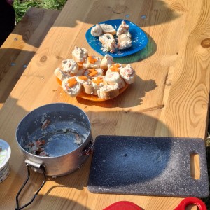 Závody vlčat a světlušek v Šenově