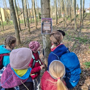 Závody vlčat a světlušek v Šenově