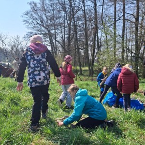 Závody vlčat a světlušek v Šenově