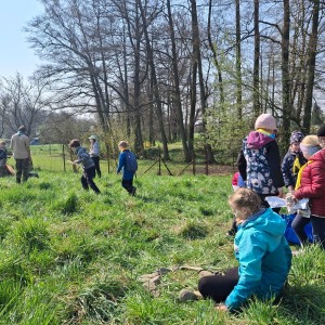 Závody vlčat a světlušek v Šenově