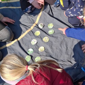 Závody vlčat a světlušek v Šenově