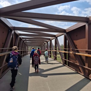 Závody vlčat a světlušek v Šenově