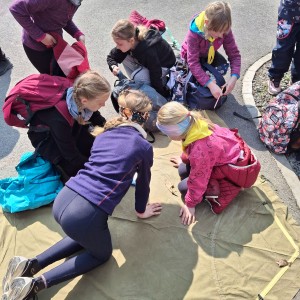 Závody vlčat a světlušek v Šenově