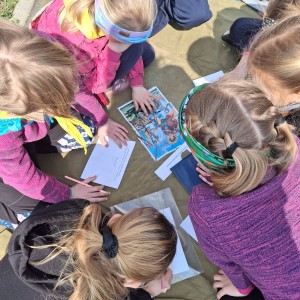 Závody vlčat a světlušek v Šenově