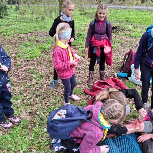 Závody vlčat a světlušek v Šenově