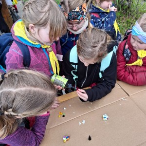 Závody vlčat a světlušek v Šenově